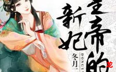 《一世豪婿》完整版-(全文免费阅读)